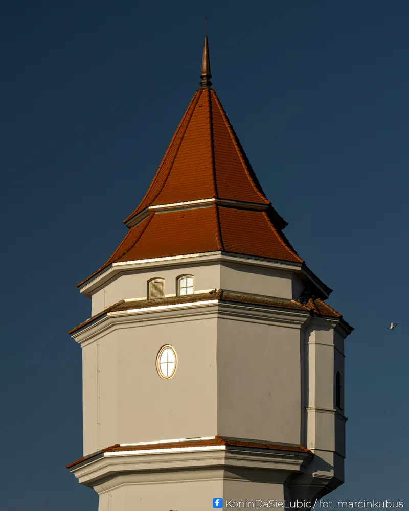 Marcin Kubus Photography - 20260304_DSC03410.jpg