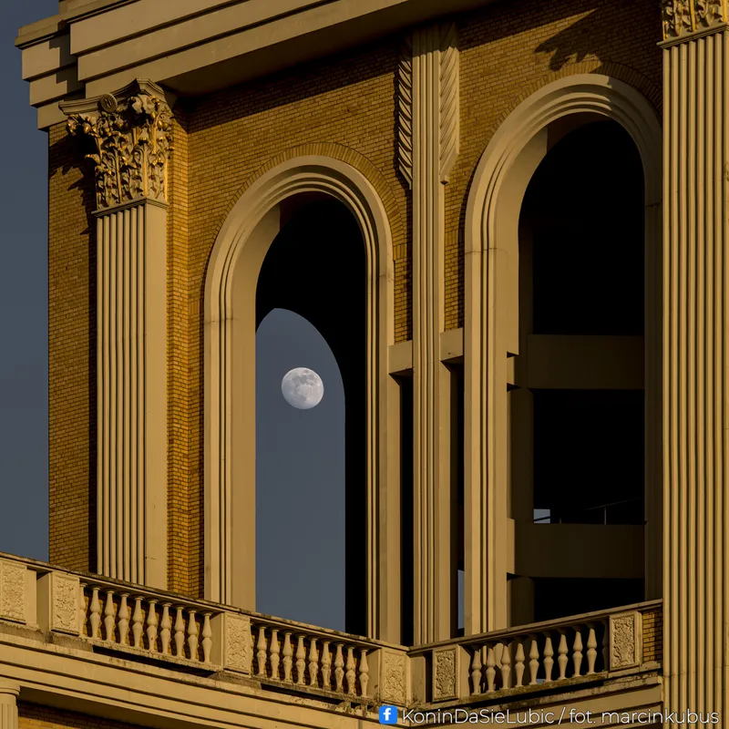 Marcin Kubus Photography - 20260304_DSC03731.jpg