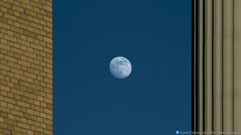 Marcin Kubus Photography - 20260304_DSC03769.jpg