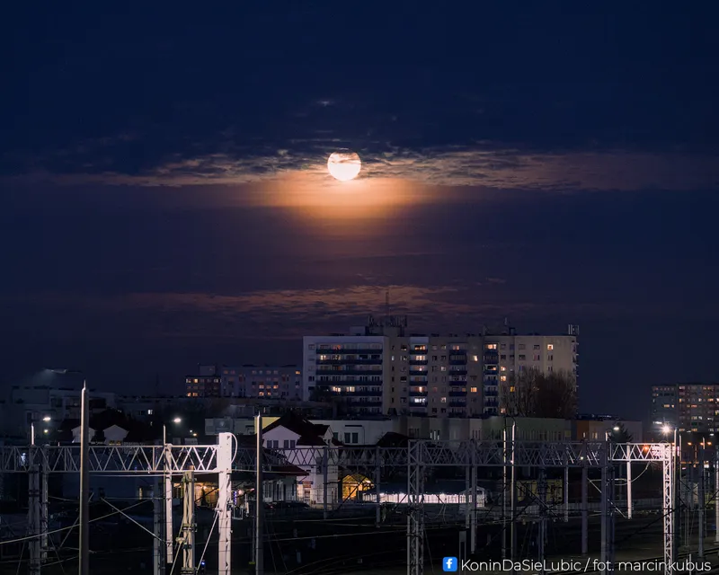 Marcin Kubus Photography - 20260305_DSC05210_01.jpg