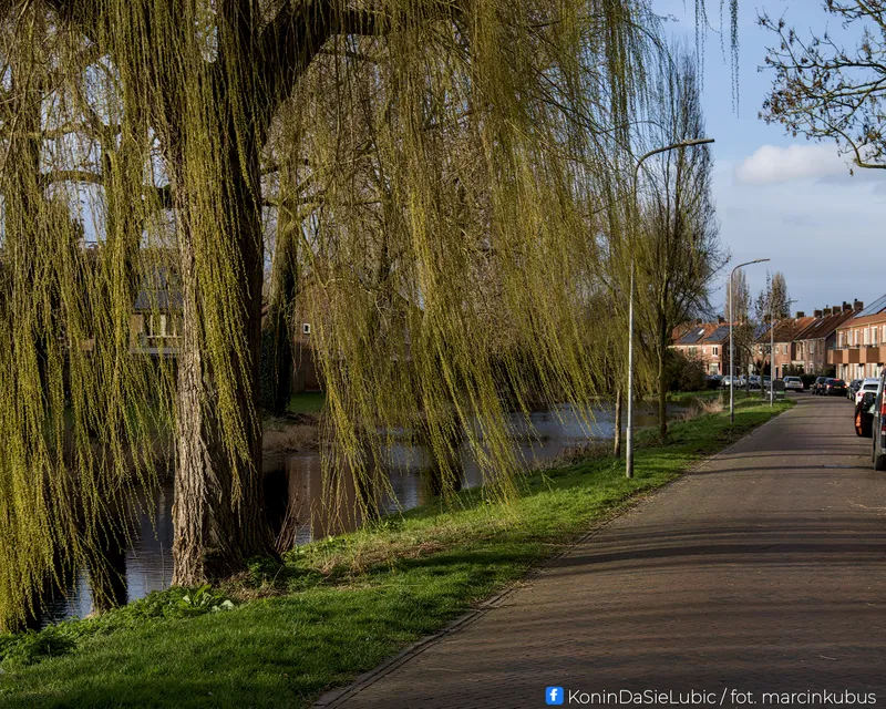 Marcin Kubus Photography - 20260313_DSC06713.jpg