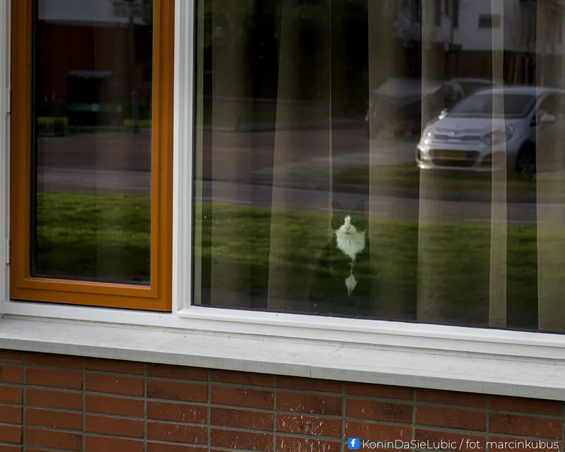 Marcin Kubus Photography - 20260313_DSC06715.jpg