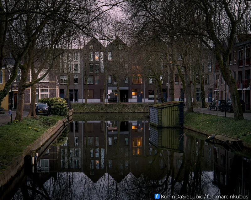 Marcin Kubus Photography - 20260313_DSC06967.jpg