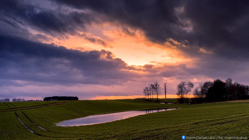 Marcin Kubus Photography - 20260314_DSC01606.jpg