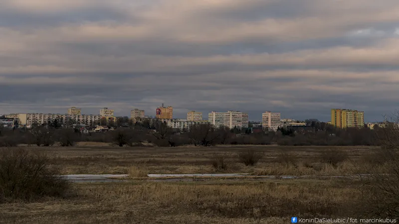 Marcin Kubus Photography - 20260314_DSC01913.jpg