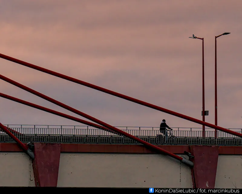 Marcin Kubus Photography - 20260314_DSC02029.jpg