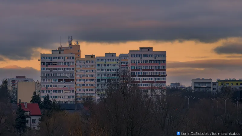 Marcin Kubus Photography - 20260314_DSC02148.jpg