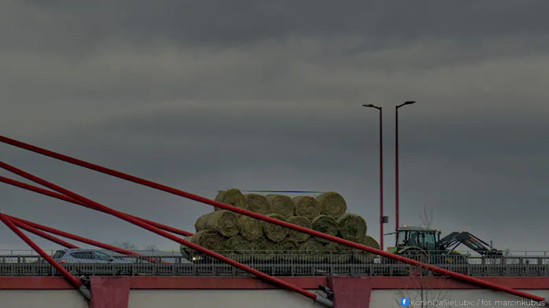 Marcin Kubus Photography - 20260314_DSC02227.jpg