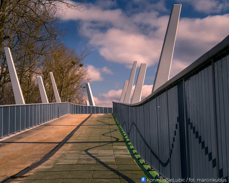 Marcin Kubus Photography - 20260314_DSC02432.jpg