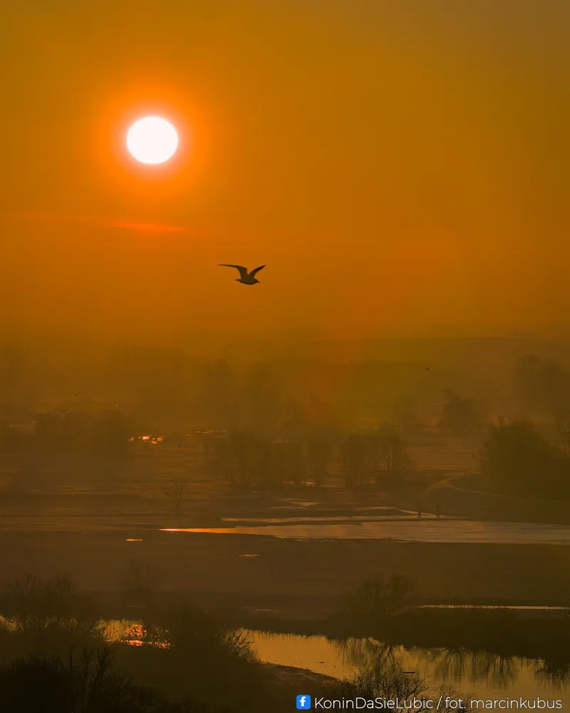 Marcin Kubus Photography - 20260314_DSC02676.jpg