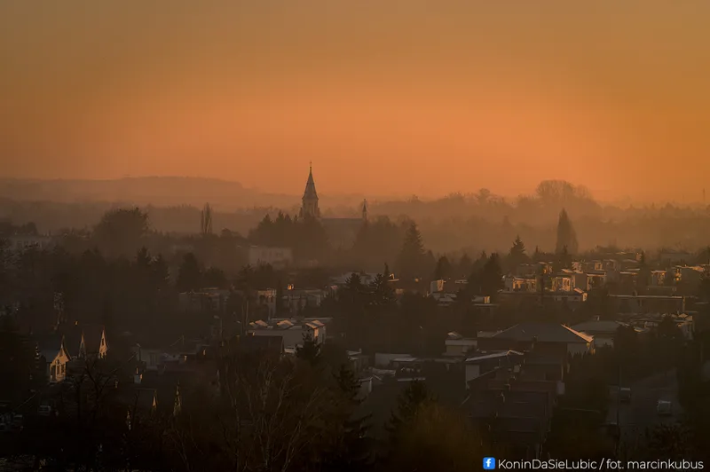 Marcin Kubus Photography - 20260314_DSC02732.jpg