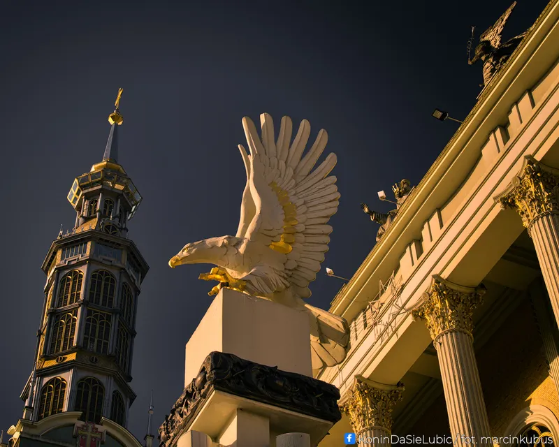 Marcin Kubus Photography - 20260314_DSC03747.jpg