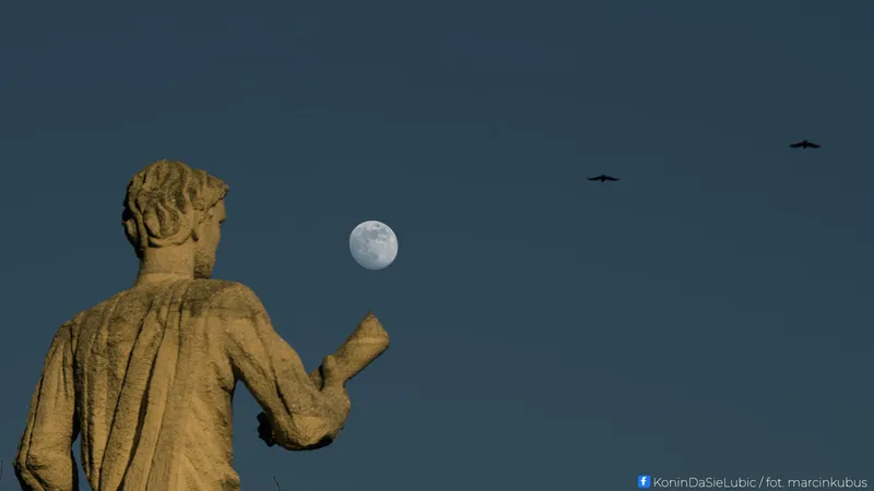 Marcin Kubus Photography - 20260314_DSC03759.jpg