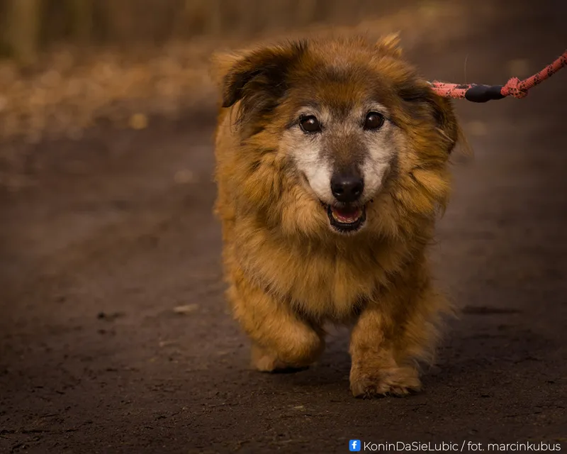 Marcin Kubus Photography - 20260314_DSC04140.jpg