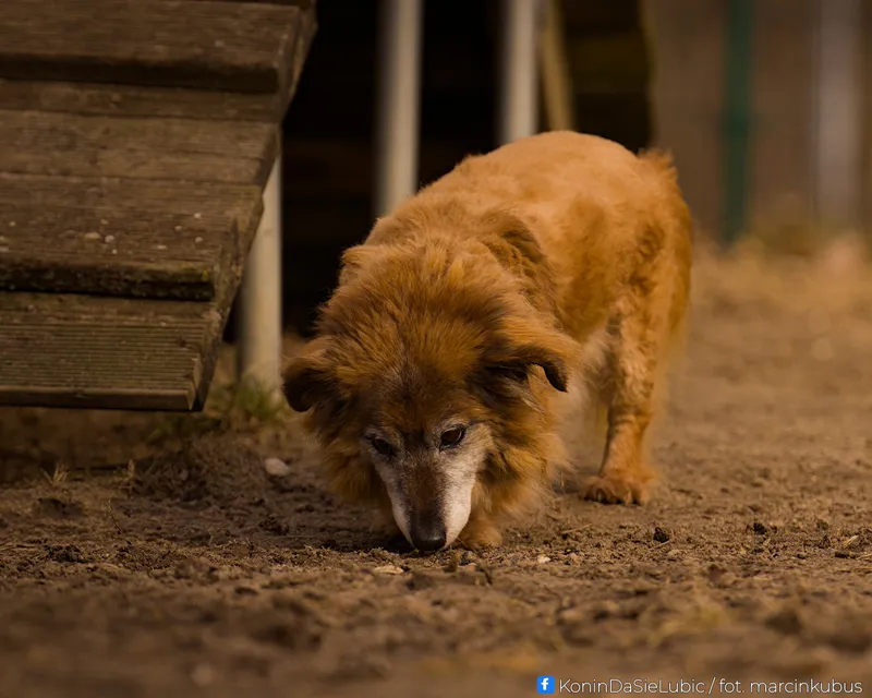 Marcin Kubus Photography - 20260314_DSC04199.jpg