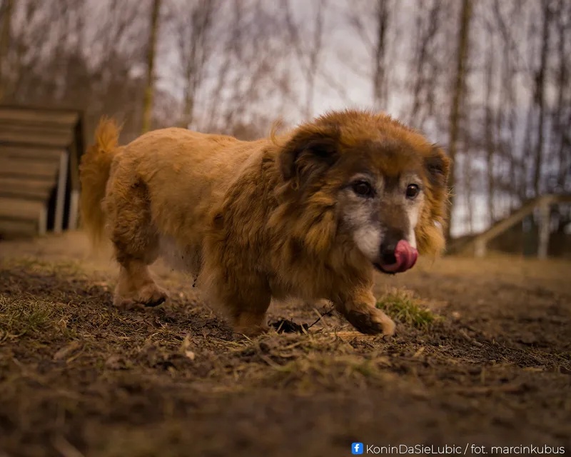 Marcin Kubus Photography - 20260314_DSC04203.jpg