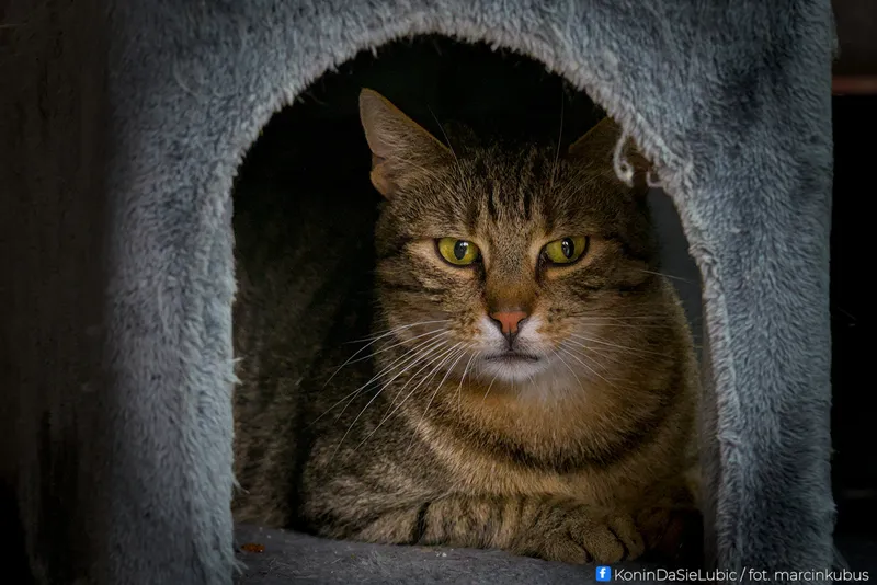 Marcin Kubus Photography - 20260314_DSC04284.jpg