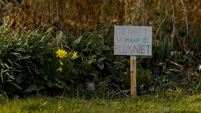 Marcin Kubus Photography - 20260316_DSC07158.jpg