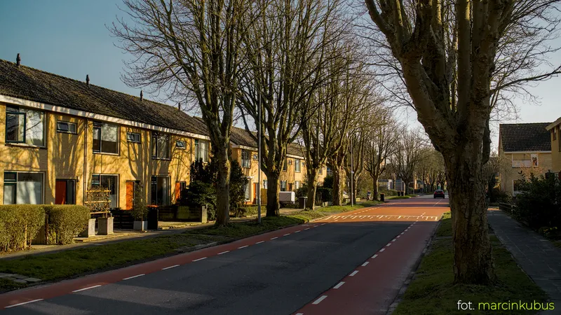 Marcin Kubus Photography - 20260316_DSC07159.jpg