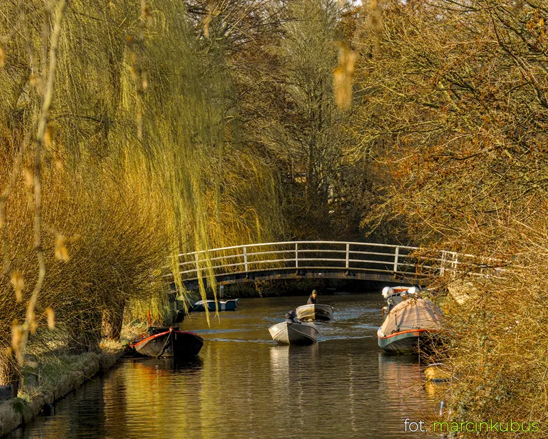 Marcin Kubus Photography - 20260316_DSC07180.jpg