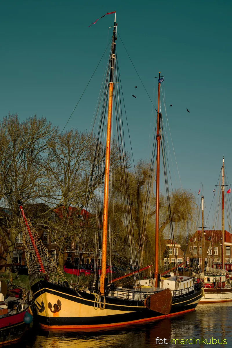 Marcin Kubus Photography - 20260316_DSC07307.jpg