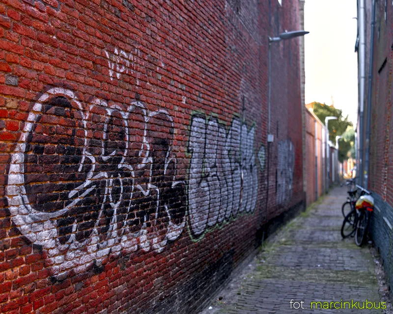 Marcin Kubus Photography - 20260316_DSC07418.jpg