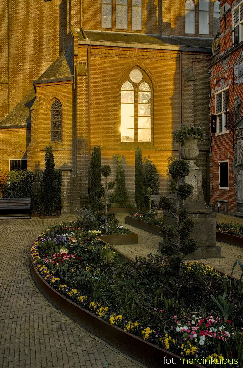 Marcin Kubus Photography - 20260316_DSC07452.jpg