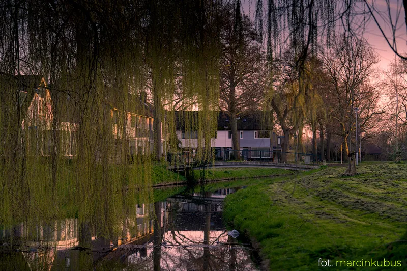 Marcin Kubus Photography - 20260318_DSC07700_01.jpg