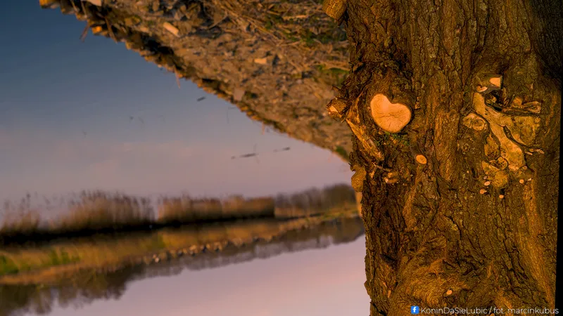 Marcin Kubus Photography - 20260319_DSC08126_01.jpg