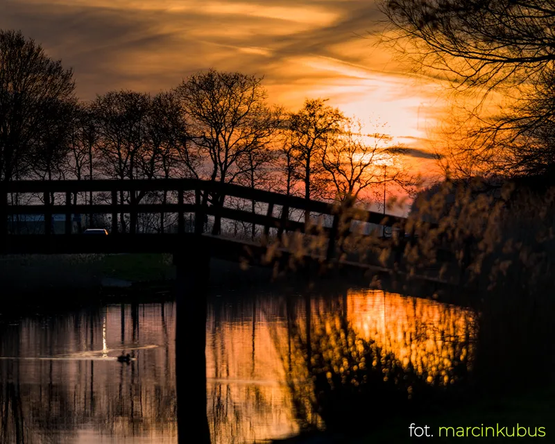 Marcin Kubus Photography - 20260319_DSC08293.jpg