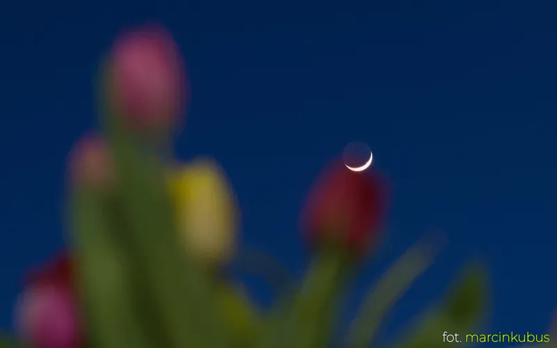 Marcin Kubus Photography - 20260321_DSC08596.jpg