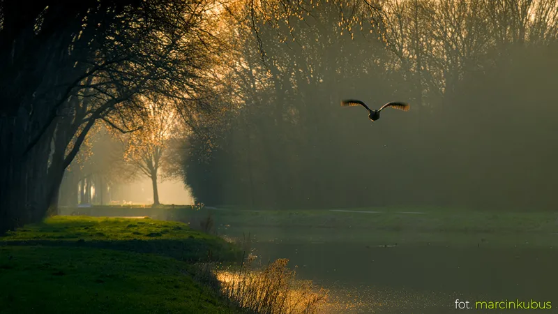 Marcin Kubus Photography - 20260322_DSC08905_02.jpg