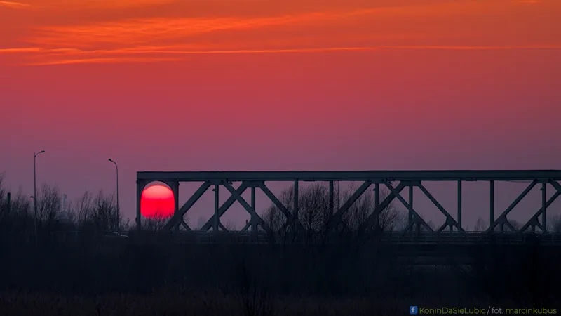 Marcin Kubus Photography - DSC02380_04.jpg